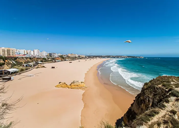 Melia Mar