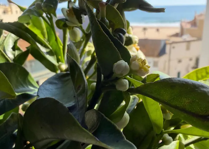 Melia Mar شقة بورتيماو